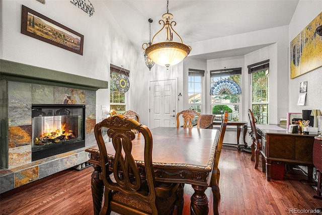 dining space featuring a fireplace and dark wood-type flooring