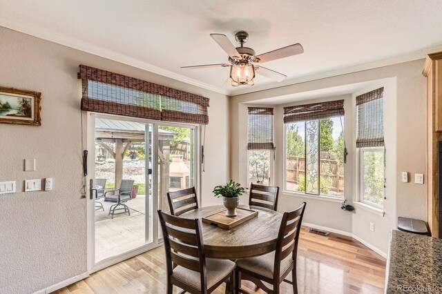 11895 Hitching Post Ct, Parker, CO 80134 - photo 12