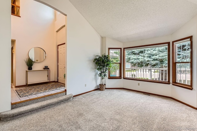 7166 Newhall Dr, Highlands Ranch, CO 80130 - unfurnished room with carpet flooring, a textured ceiling, lofted ceiling, and arched walkways