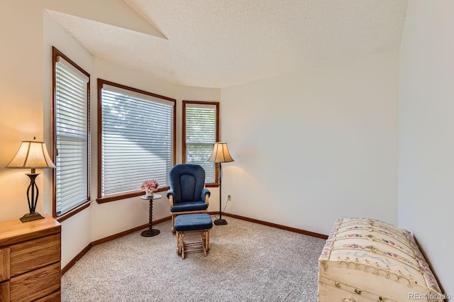 7166 Newhall Dr, Highlands Ranch, CO 80130 - living area with carpet floors and a textured ceiling