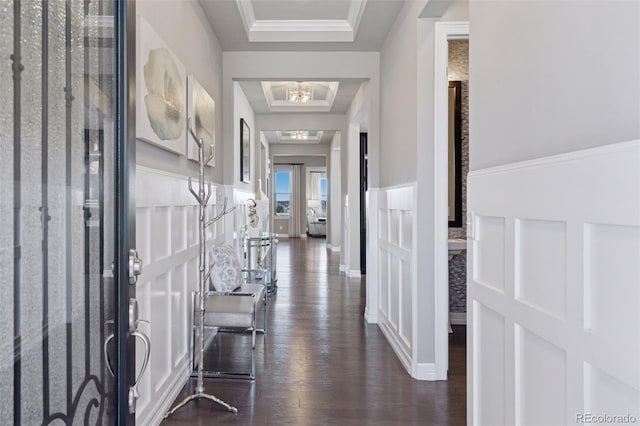 entrance foyer with a raised ceiling, a decorative wall, dark wood finished floors, and a wainscoted wall
