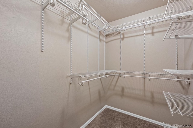 12919 W Burgundy Dr, Littleton, CO 80127 - walk in closet with carpet floors