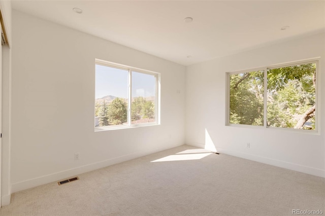 carpeted empty room featuring a wealth of natural light