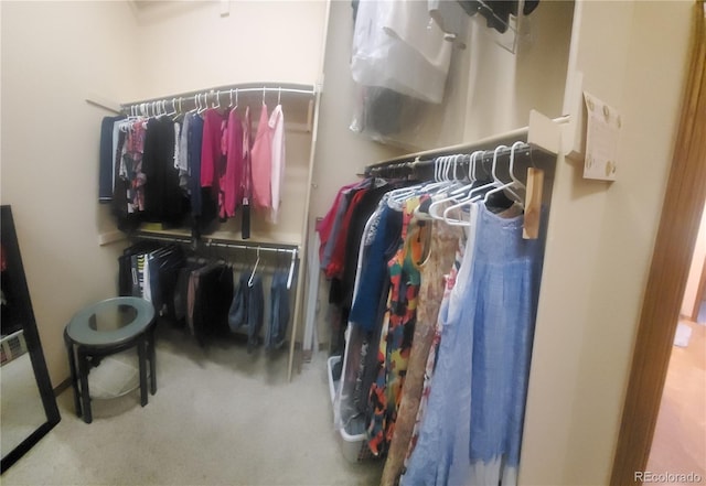 view of spacious closet