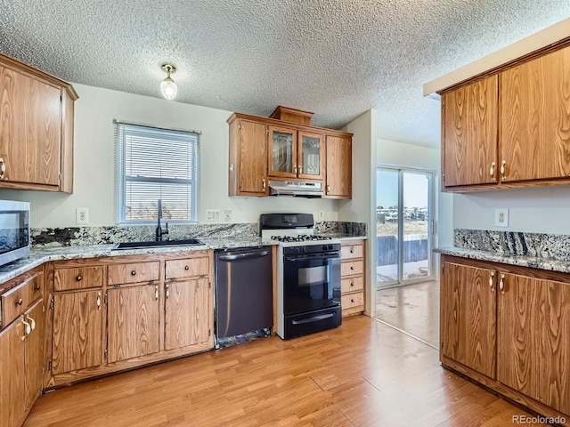 kitchen with sink, dishwasher, a wealth of natural light, gas range oven, and light wood-type flooring