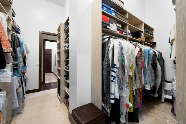 10243 Spring Green Dr, Englewood, CO 80112 - view of spacious closet