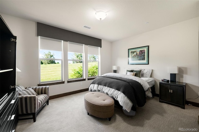 10243 Spring Green Dr, Englewood, CO 80112 - bedroom featuring carpet floors and baseboards