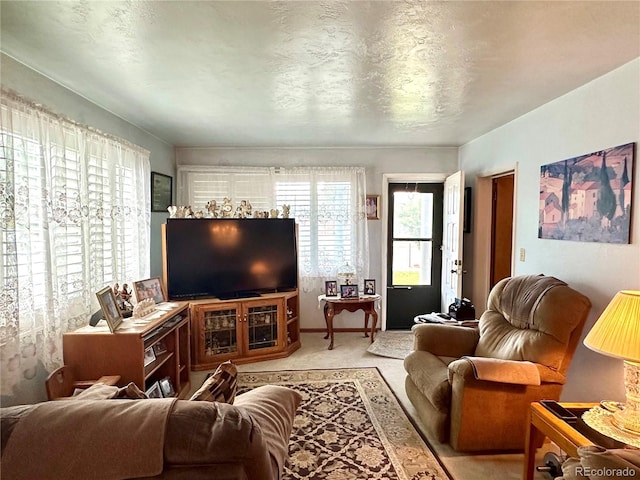 647 D St, Salida, CO 81201 - view of carpeted living area