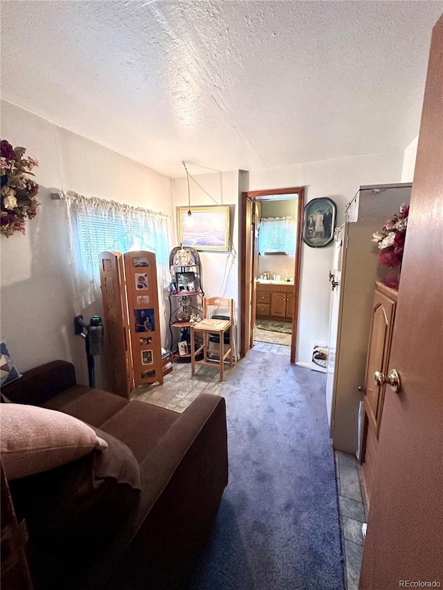 647 D St, Salida, CO 81201 - living room with a textured ceiling and carpet flooring