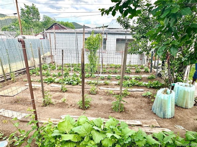 647 D St, Salida, CO 81201 - view of yard featuring a garden