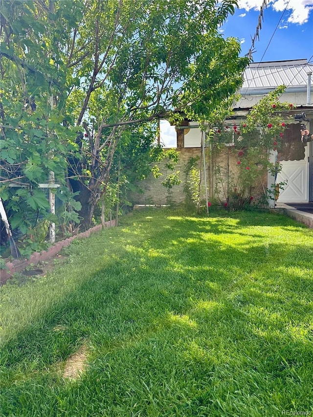 647 D St, Salida, CO 81201 - view of green lawn