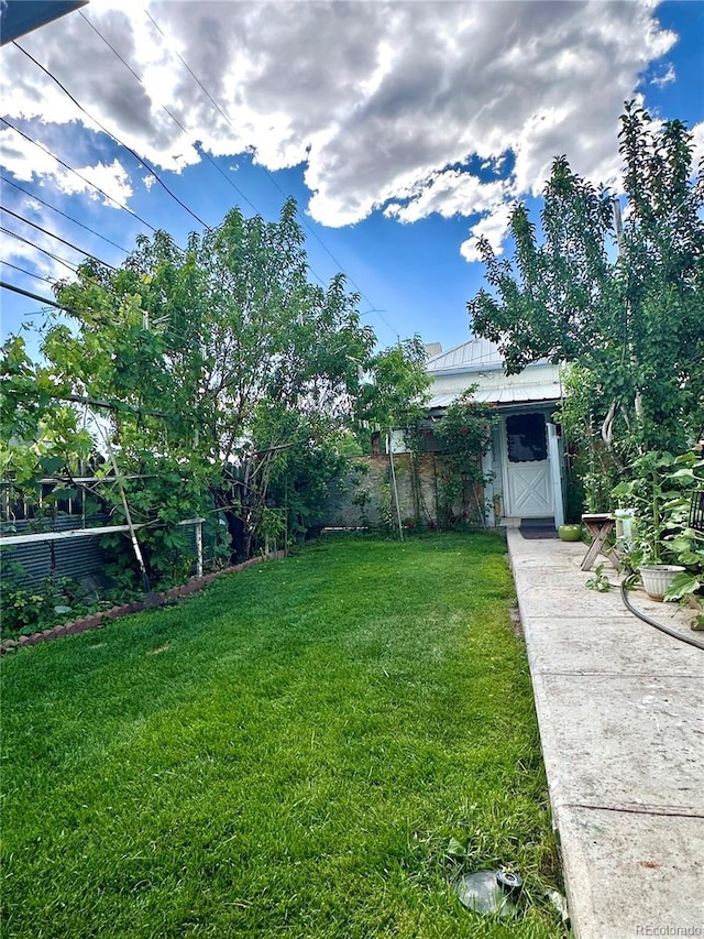 647 D St, Salida, CO 81201 - view of green lawn