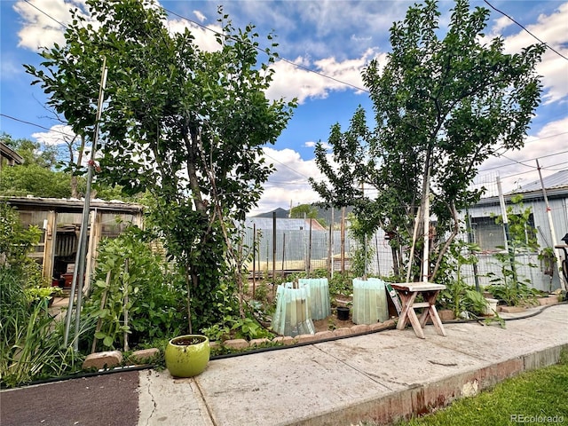 647 D St, Salida, CO 81201 - view of yard
