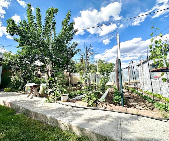 647 D St, Salida, CO 81201 - view of yard with a vegetable garden