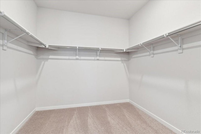 1281 Loraine Cir N, Lafayette, CO 80026 - spacious closet featuring carpet