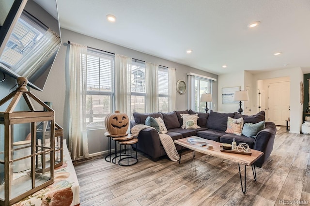 living room featuring wood-type flooring