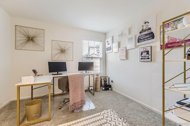 office featuring carpet floors