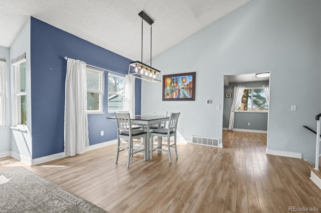 8815 W Quarto Cir, Littleton, CO 80128 - dining room with a textured ceiling, lofted ceiling, light wood finished floors, and baseboards