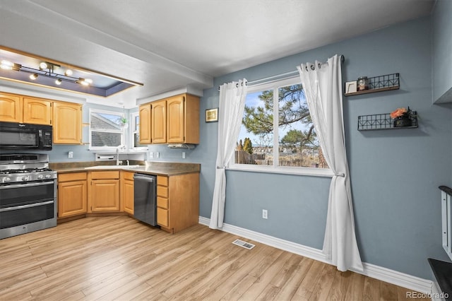 8815 W Quarto Cir, Littleton, CO 80128 - kitchen featuring stainless steel appliances, baseboards, light wood-style floors, a sink, and a tray ceiling