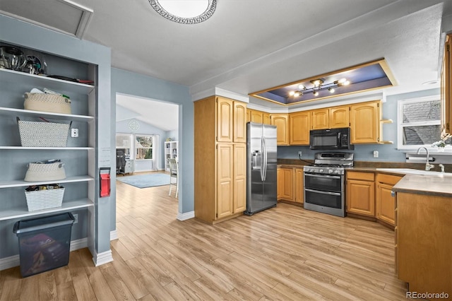 8815 W Quarto Cir, Littleton, CO 80128 - kitchen with stainless steel appliances, a sink, a raised ceiling, light wood-style floors, and baseboards