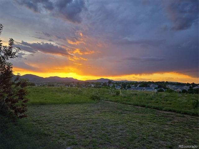 8815 W Quarto Cir, Littleton, CO 80128 - mountain view