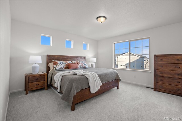10200 Xanadu St, Commerce City, CO 80022 - photo 17