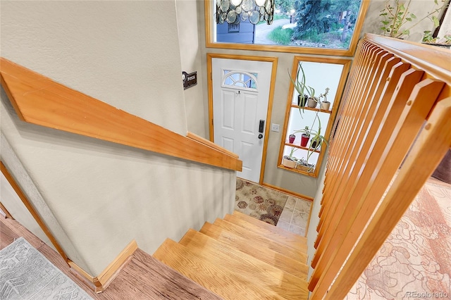 30273 Conifer Rd, Evergreen, CO 80439 - photo 7