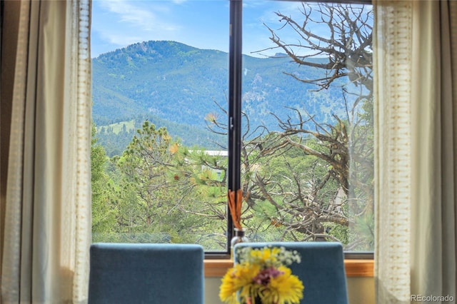 30273 Conifer Rd, Evergreen, CO 80439 - photo 11