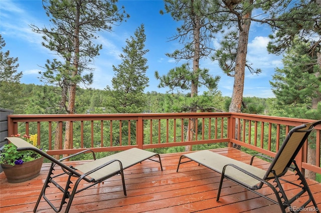30273 Conifer Rd, Evergreen, CO 80439 - photo 15