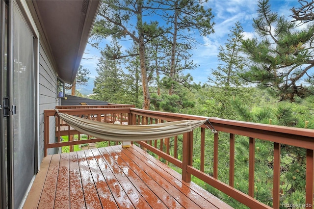 30273 Conifer Rd, Evergreen, CO 80439 - photo 18