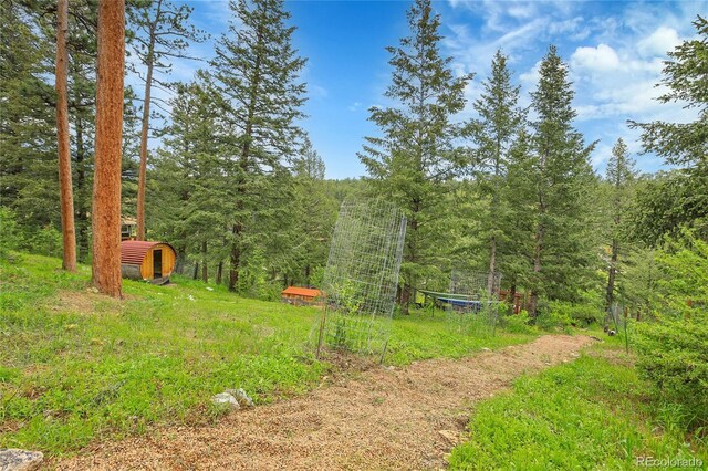30273 Conifer Rd, Evergreen, CO 80439 - photo 35