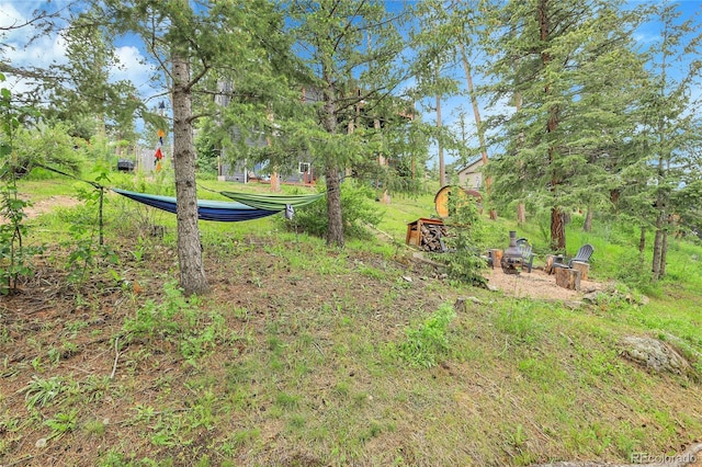30273 Conifer Rd, Evergreen, CO 80439 - photo 37