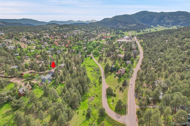 30273 Conifer Rd, Evergreen, CO 80439 - photo 42