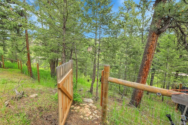 30273 Conifer Rd, Evergreen, CO 80439 - photo 44