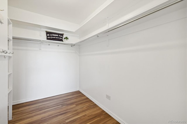 walk in closet featuring wood finished floors
