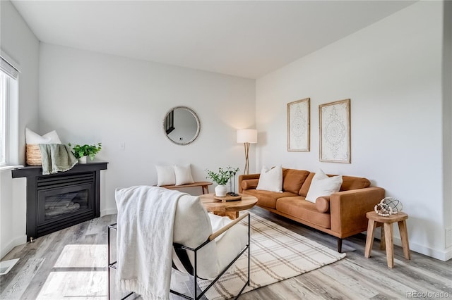 2642 Devonshire Ct, Denver, CO 80229 - living room featuring light wood-style flooring, a glass covered fireplace, and baseboards