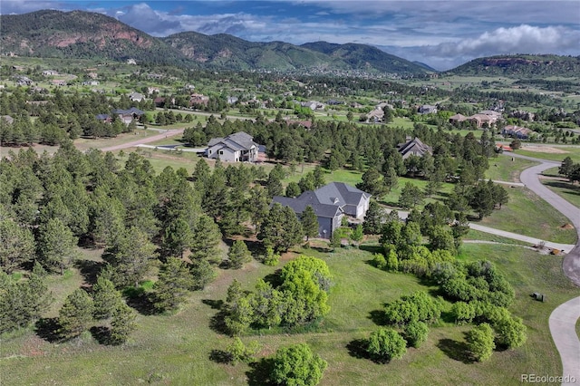 18376 Heavens Pl, Monument, CO 80132 - photo 32