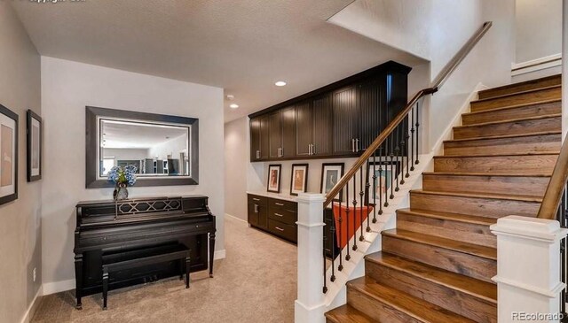 18376 Heavens Pl, Monument, CO 80132 - photo 19