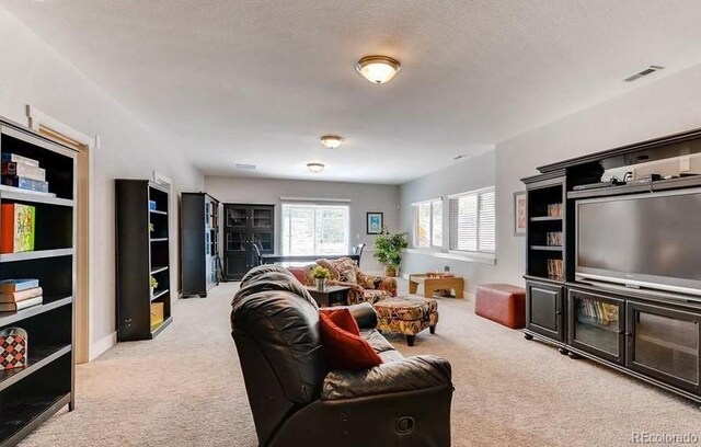 18376 Heavens Pl, Monument, CO 80132 - photo 20