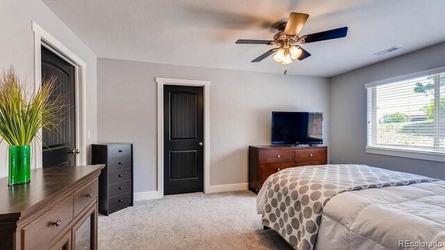 18376 Heavens Pl, Monument, CO 80132 - photo 24