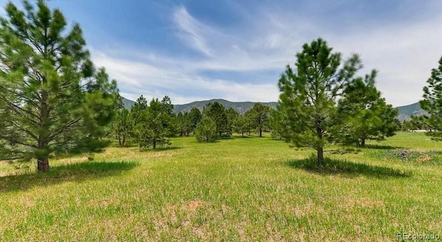 18376 Heavens Pl, Monument, CO 80132 - photo 26