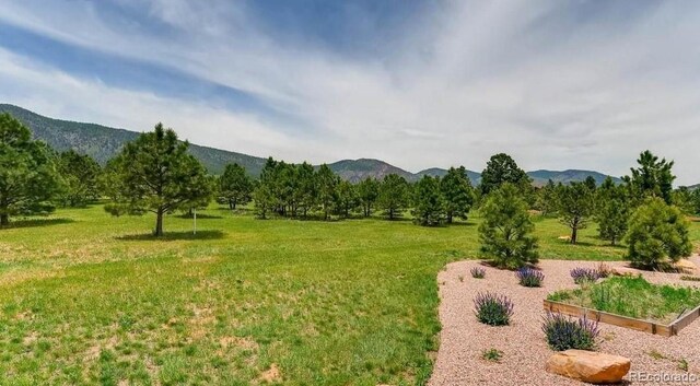 18376 Heavens Pl, Monument, CO 80132 - photo 27