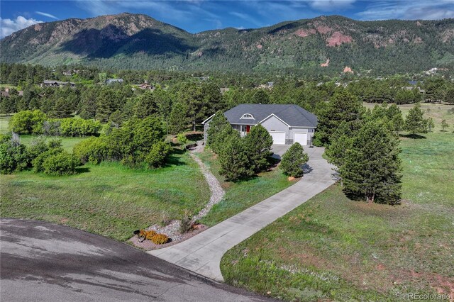 18376 Heavens Pl, Monument, CO 80132 - photo 29