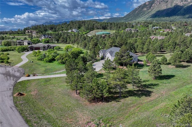 18376 Heavens Pl, Monument, CO 80132 - photo 30