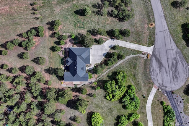 18376 Heavens Pl, Monument, CO 80132 - photo 41