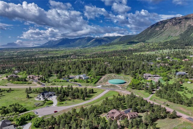 18376 Heavens Pl, Monument, CO 80132 - photo 46