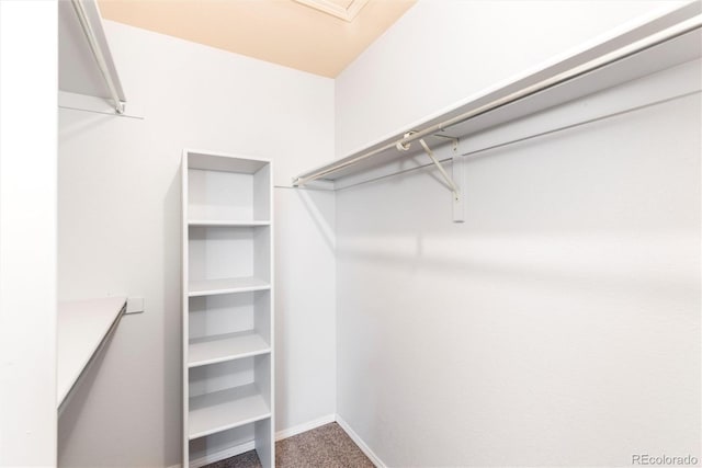 2973 W 81st Ave Unit D, Westminster, CO 80031 - spacious closet featuring carpet flooring