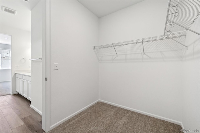 spacious closet with wood-type flooring