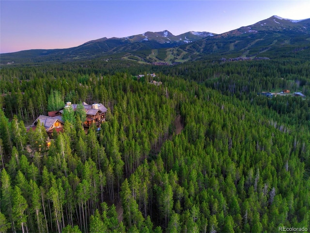 456 Peerless Dr, Breckenridge, CO 80424 - photo 2