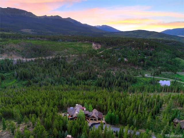 456 Peerless Dr, Breckenridge, CO 80424 - photo 3